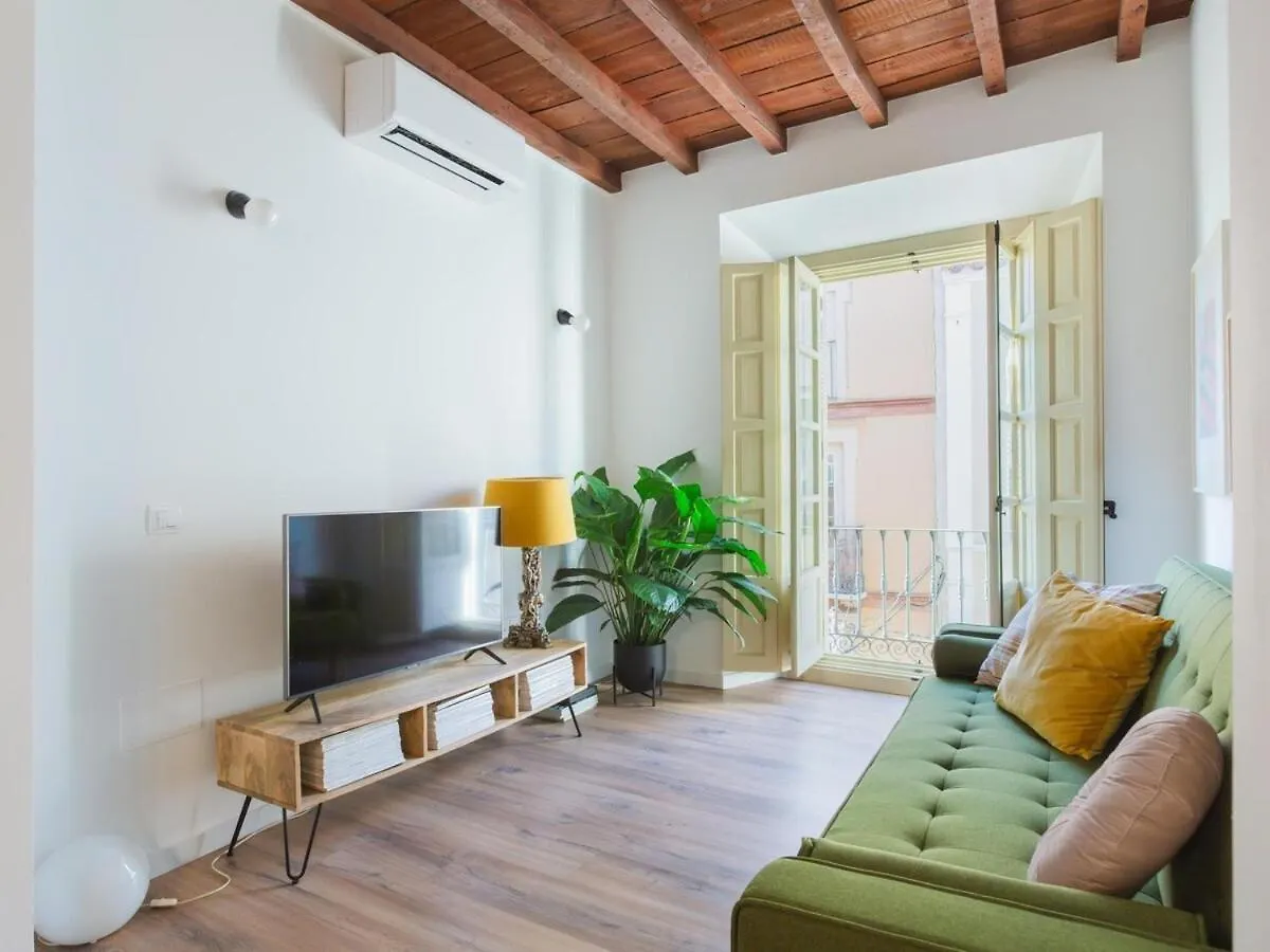 Balcones De Ollerias Apartment Malaga Spain